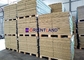 Safety and Sandstorm Protection Gabion Barrier