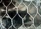 20G Fox Proof Chicken Wire Netting 36 Inches 150 Feet Consistant Appearance