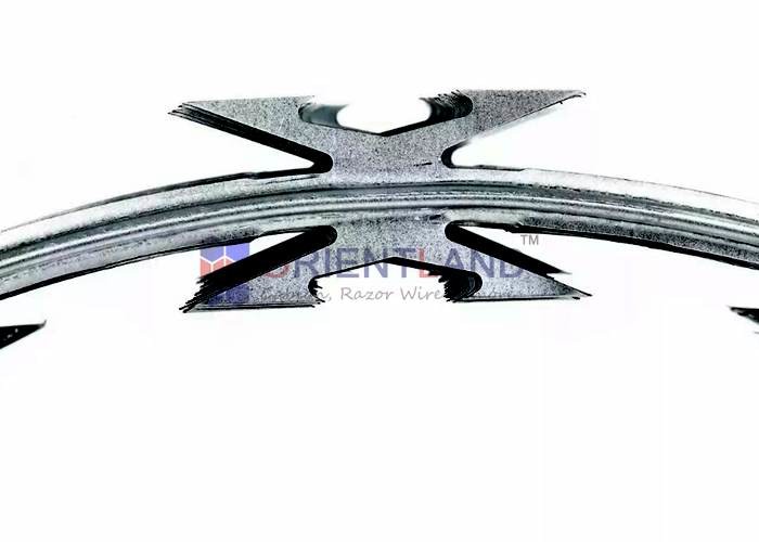 Professional CBT 60 Razor Ribbon Wire , Spiral Barbed Wire Fence Free ...